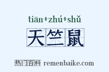 天竺鼠是什么意思的图片